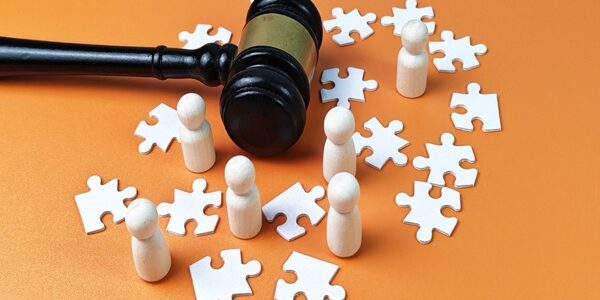 Registre public des actions de groupe : protection des intérêts des consommateurs ?
