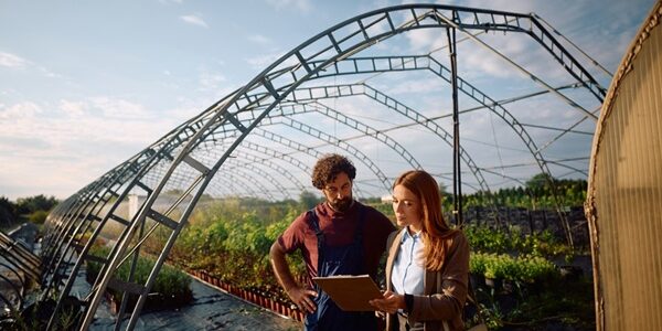 Installation agricole : ce qui change pour la protection sociale et les stages