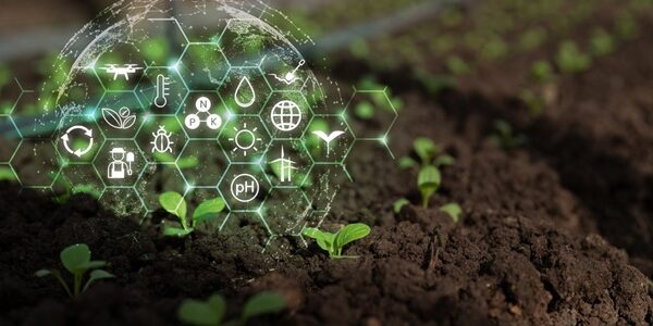 Agriculture : qui pilote la stratégie nationale d’installation et de transmission ?
