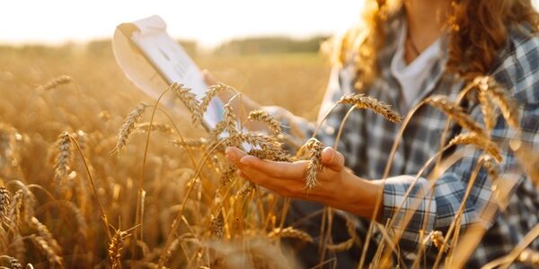 Non-salariés agricoles : des nouvelles règles sociales précisées