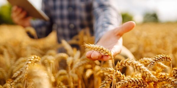 Cotisations agricoles : du nouveau pour le calcul en 2027