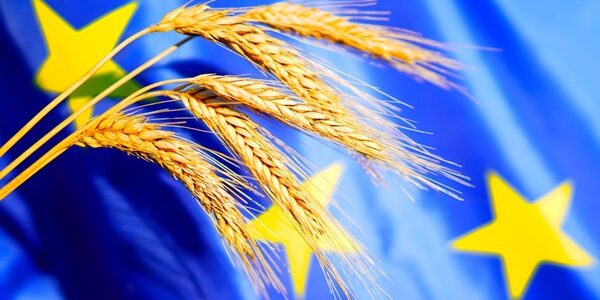 Bonnes conditions agricoles et environnementales : une nouvelle définition de la haie