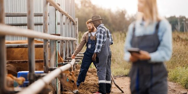 Maladies professionnelles agricoles : les conditions de diagnostic sont simplifiées